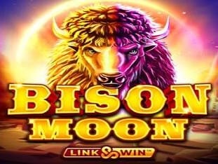 Bison Moon game cover