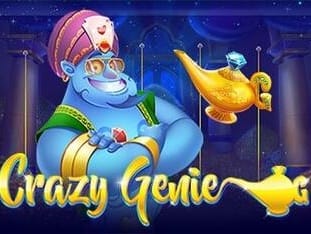 Crazy Genie game cover