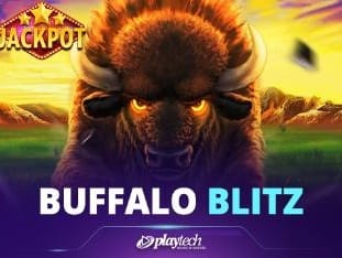 Buffalo Blitz game cover
