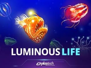 Luminous Life game cover